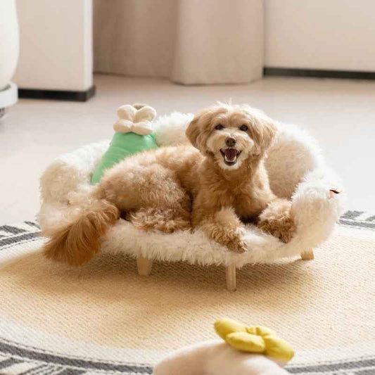 Wooden Pet Sofa Bed
